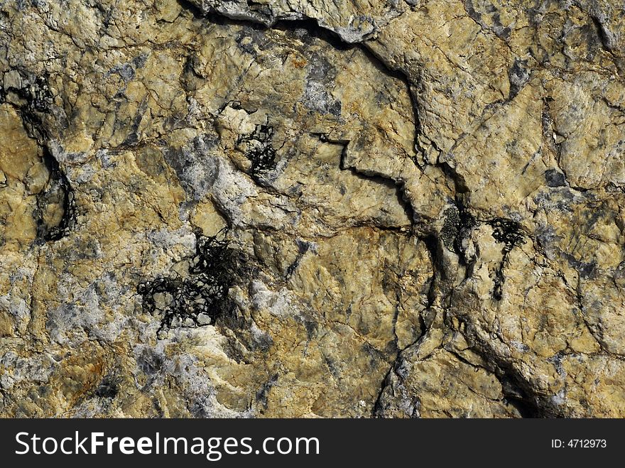 Cracks or veins in the surface of a rock. Cracks or veins in the surface of a rock