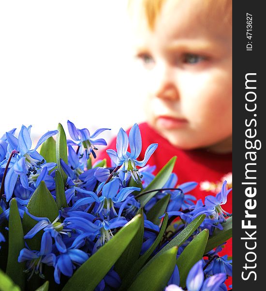 The little girl looks at a bouquet of snowdrops