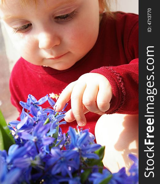 The little girl tries to keep  a bouquet of snowdrops