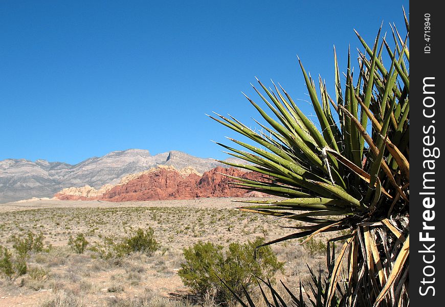 Red Rock Canyon, Nevada