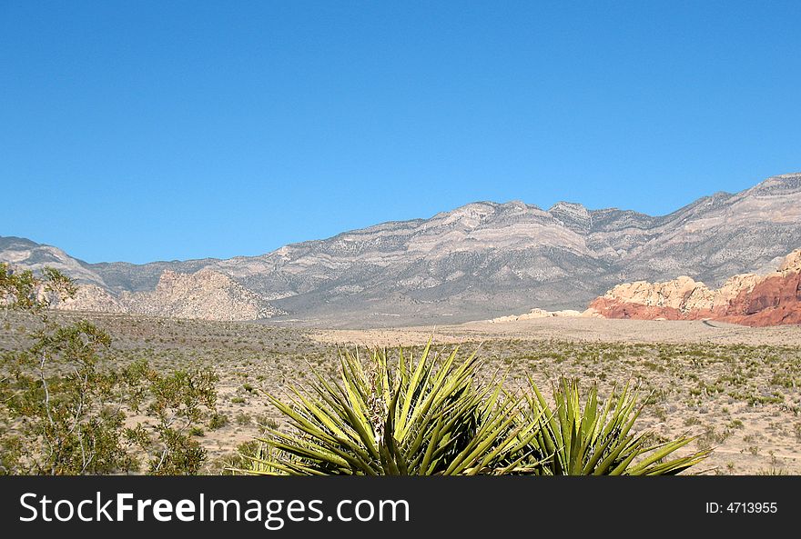 Red Rock Canyon Conservation Atra, Nevada. Red Rock Canyon Conservation Atra, Nevada