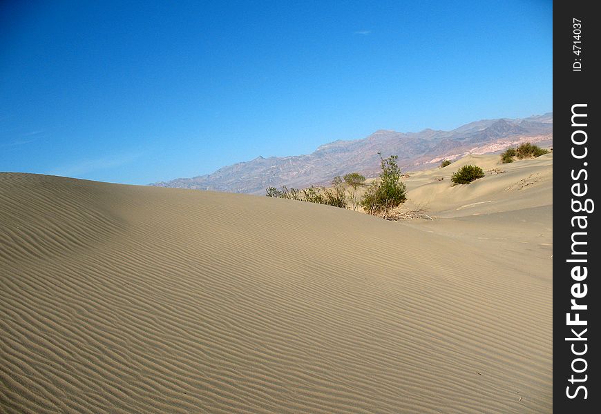 Sand dunes, Death Valley National Park, California. Sand dunes, Death Valley National Park, California
