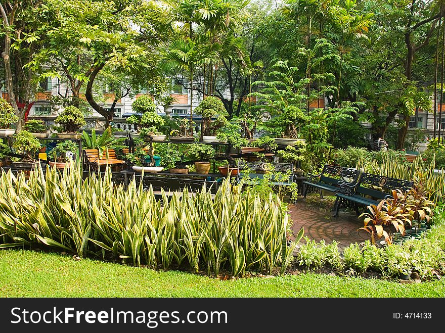 Lush Bangkok Park