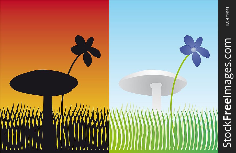 Flower and mushroom