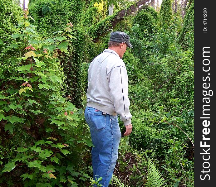 Man surveying beauty of vegetation in St. Lucie, FL. Man surveying beauty of vegetation in St. Lucie, FL