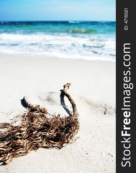 Old rope at the beach near blue sea