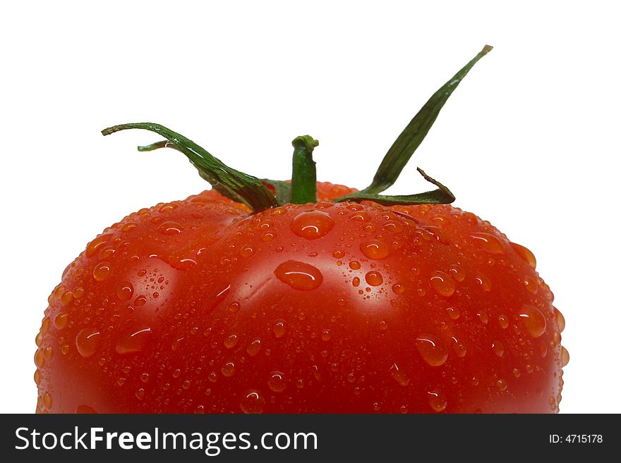 Close-up single tomato with waterdrops, isolated on white