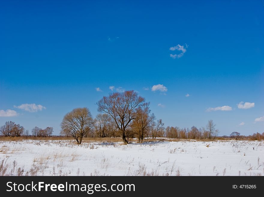 Nature series: winter landscape, fine sun weather