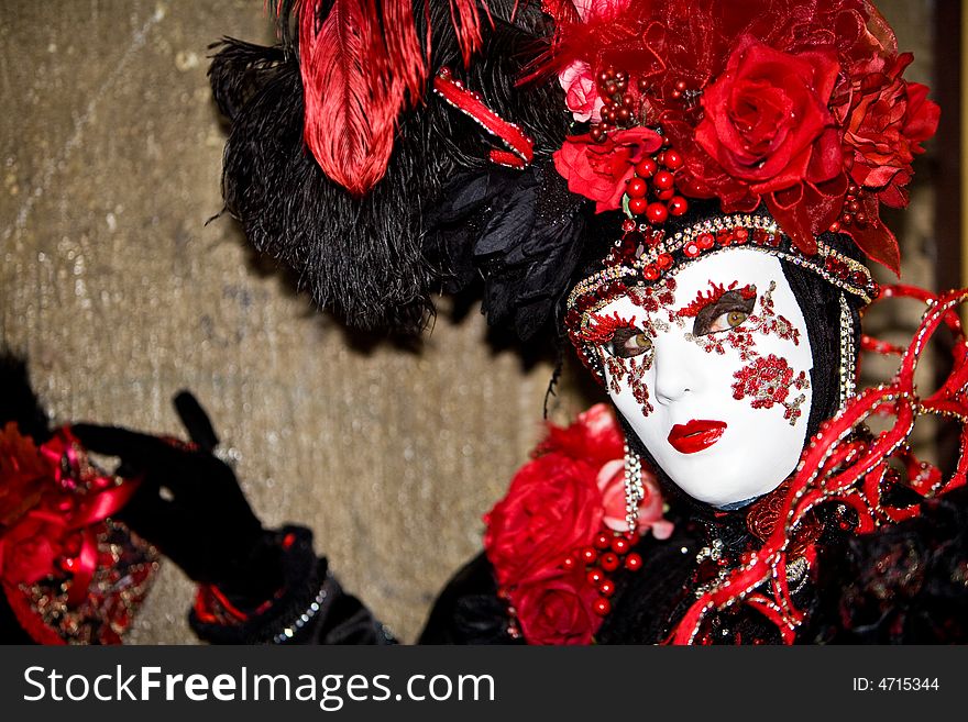 Costume with roses at the Venice Carnival. Costume with roses at the Venice Carnival