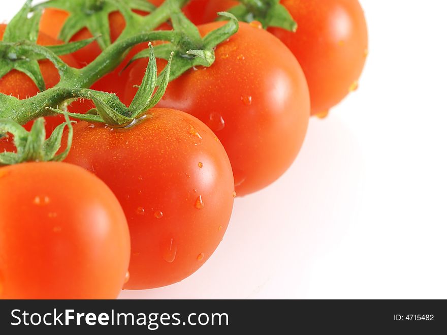 Close up of fresh juicy tomatos bunch over white background. Shallow DOF