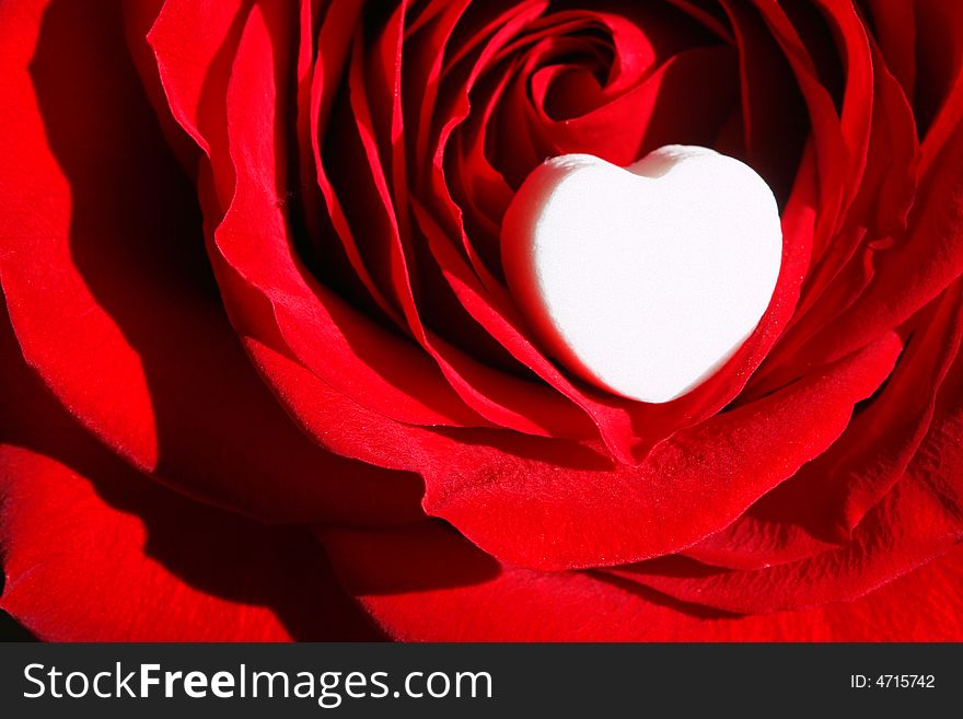 Red Rose With White Heart ~ Macro Close Up