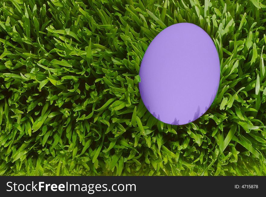 A Detailed Close Up Of A Purple Egg, Nestled In the Green Grass with Clipping Path. A Detailed Close Up Of A Purple Egg, Nestled In the Green Grass with Clipping Path