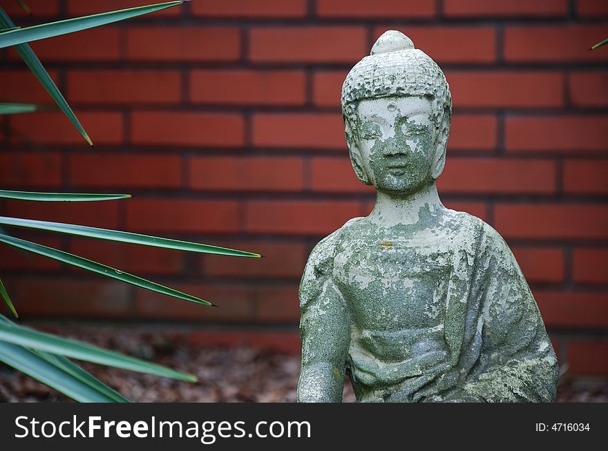 Buddha Statue