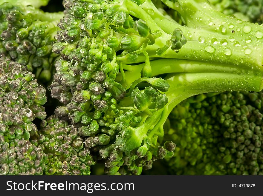 Macro shot of water drops on fresh green broccoli. Macro shot of water drops on fresh green broccoli