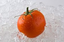A Red Ripe Tomato On A Bed Of Ice Royalty Free Stock Image