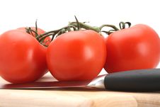 Tomatoes UpClose Stock Image Tomatoes UpClose Stock Image