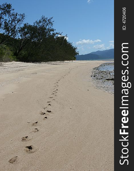 Footprints on a deserted beach in far north queensland