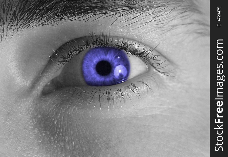 Grayscale picture of eye with blue lens. Grayscale picture of eye with blue lens