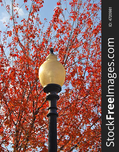 Stock image of fall foliage at Boston Public Garden