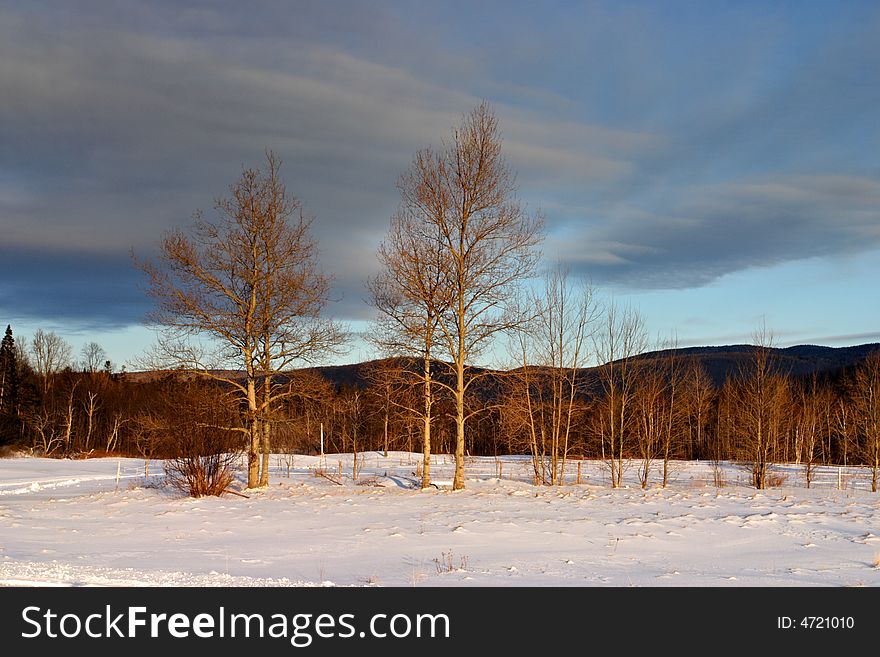 Winter at Bretton Woods, New Hampshire