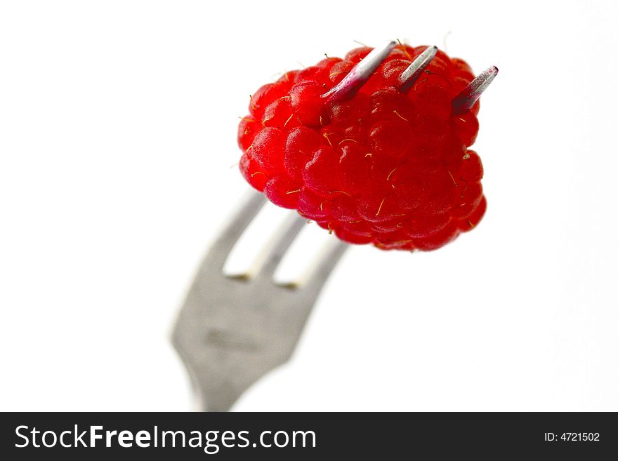 Raspberry on a fork.Raspberry close-up.