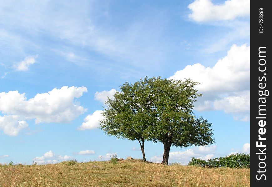 Landscape In Northern Poland