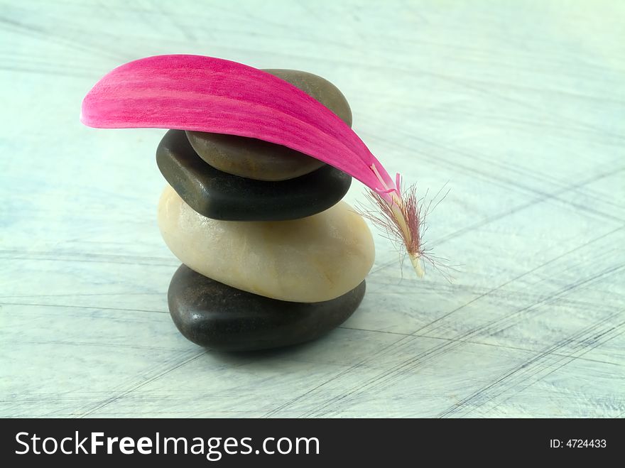 Balancing stones and pink gerber petal on grungy bluish background. Balancing stones and pink gerber petal on grungy bluish background