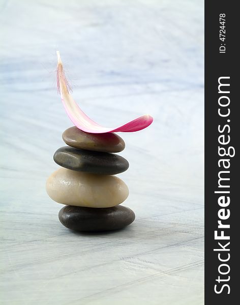 Balancing stones and pink gerber petal on grungy bluish background. Balancing stones and pink gerber petal on grungy bluish background