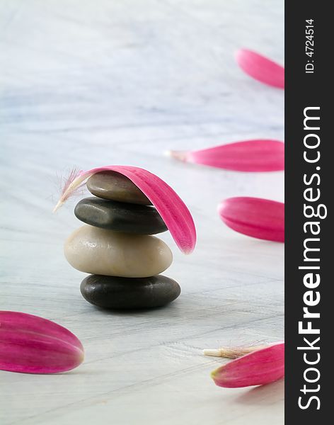 Balancing Stones And Pink Petals