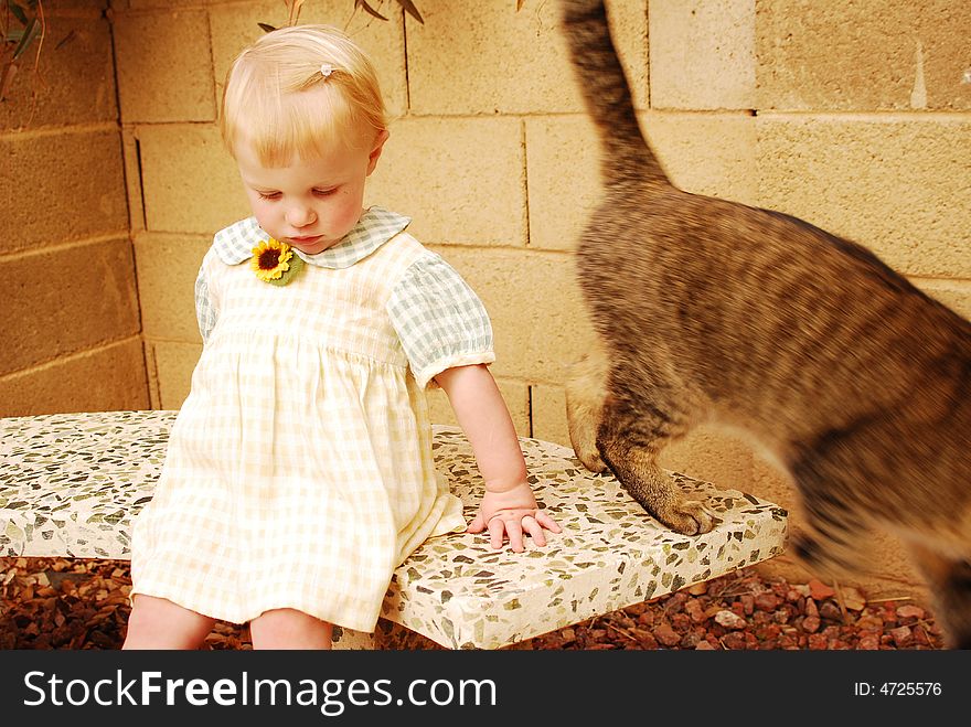 Young Girl with cat on bench