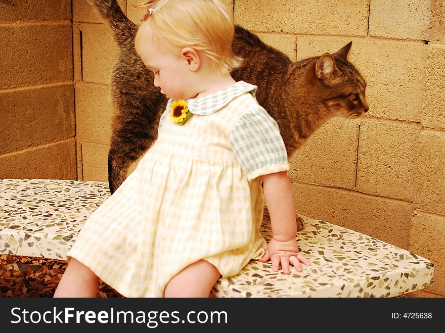 Young Girl With Cat