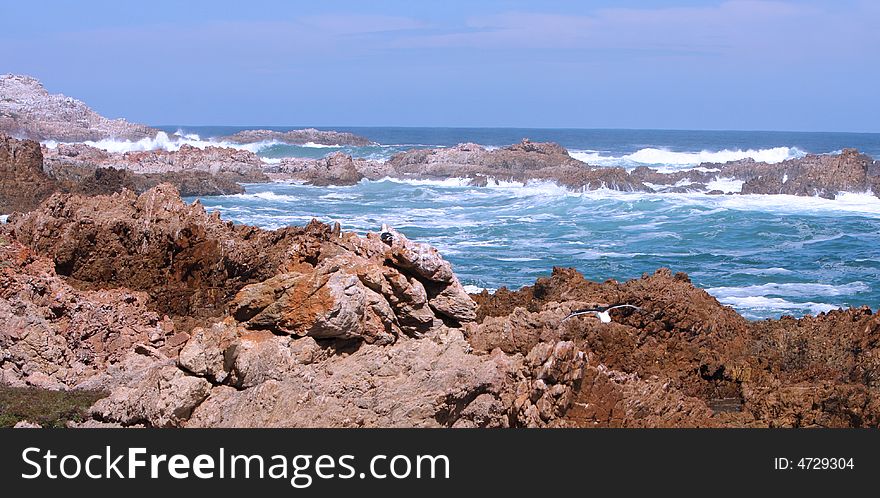 Rocky shores at Eastern Head where waters of Indian Ocean enter Knysna lagoon. Knysna, Western Cape, South Africa.