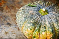 Pumpkins At Asian Market Royalty Free Stock Images Pumpkins At Asian Market Royalty Free Stock Images