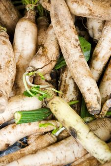 Asian Market Vegetables Royalty Free Stock Photography Asian Market Vegetables Royalty Free Stock Photography