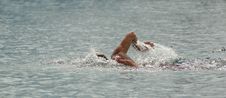 Swim The Front Crawl Stock Photography