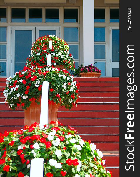 A beautiful handrail with red and white flowers on a long staircase. A beautiful handrail with red and white flowers on a long staircase.