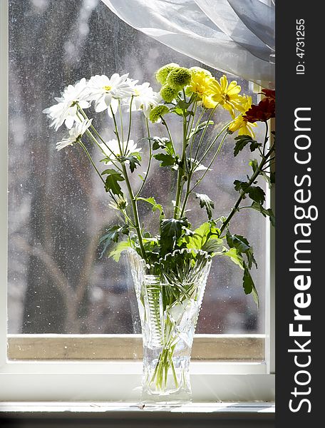 Bouquet of multicolored chamomiles in sunshine at window with silk drapery