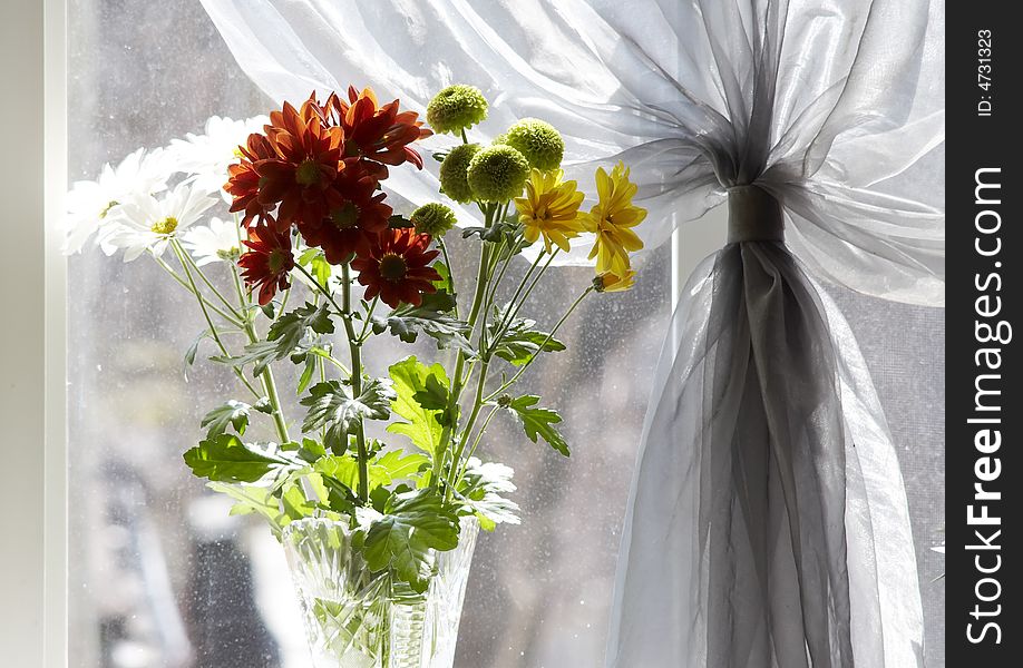 Bouquet of multicolored chamomiles in sunshine at window with silk drapery