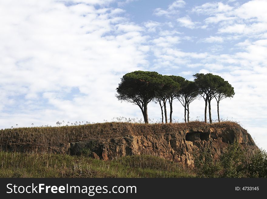 Trees On A Hill In Rome, Italy, Cloudy Sky. Trees On A Hill In Rome, Italy, Cloudy Sky