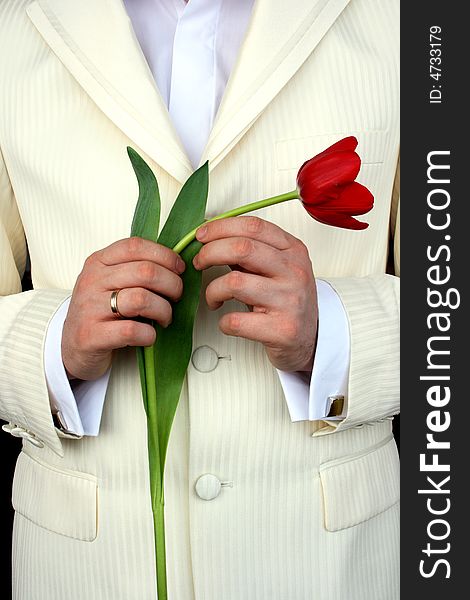 Man Holding Flowers, red tulip