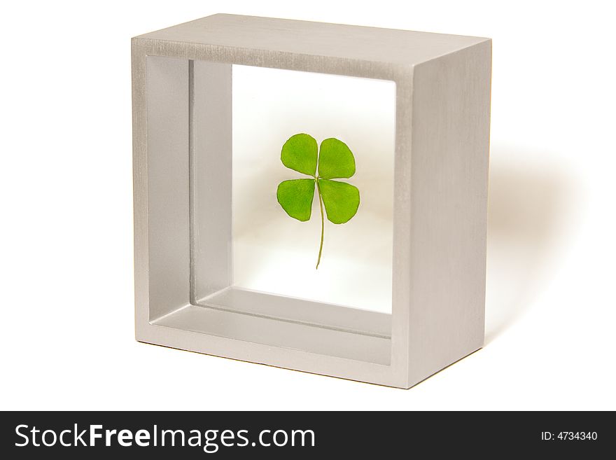 Four leaf clover sandwiched between glass and framed in a square aluminum frame. Isolated on a white background. Four leaf clover sandwiched between glass and framed in a square aluminum frame. Isolated on a white background