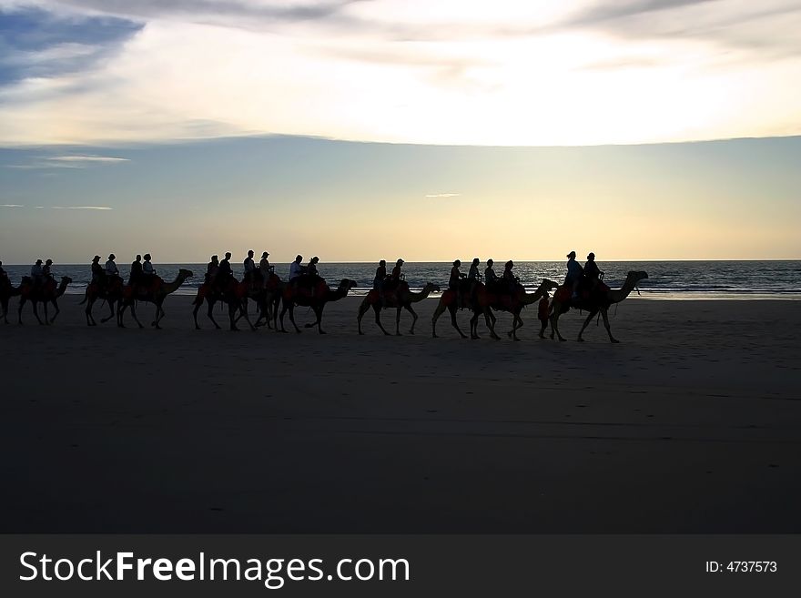 People crossing a sandy beach on camels. Australia. People crossing a sandy beach on camels. Australia.