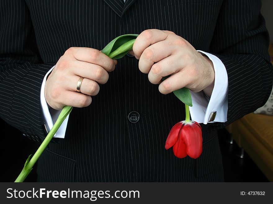 Man Holding Flowers, red tulip