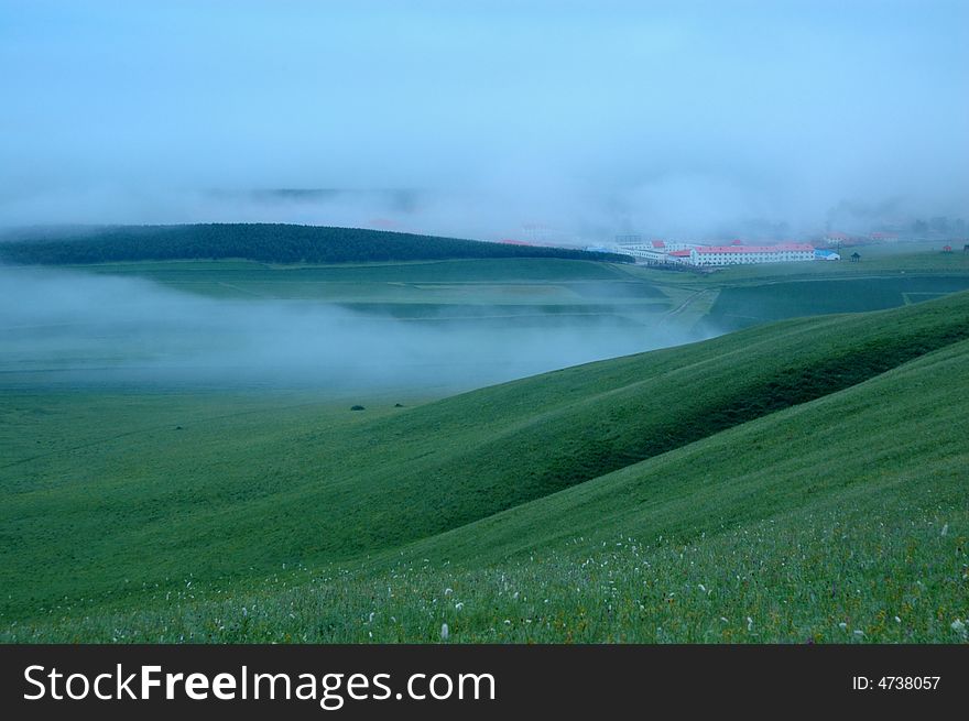 Green spring field with a morning fog. Green spring field with a morning fog