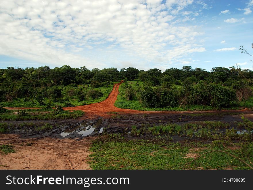 Red clay road in savanna (National park, Botswana, Africa)