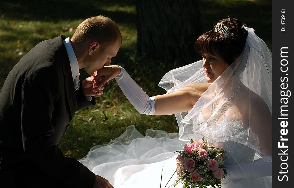 Portrait of the a newly wedded couple kissing