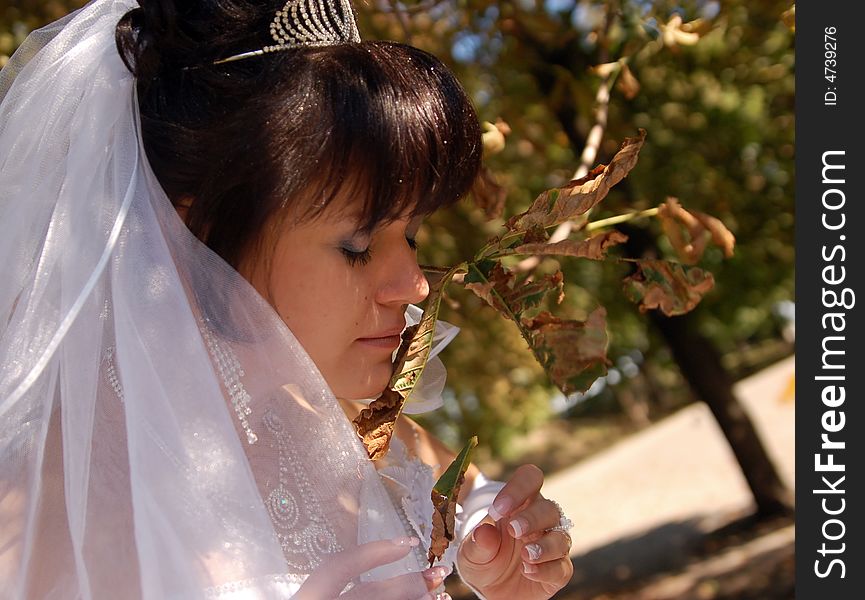 Portrait of a bride playing with leaf. Portrait of a bride playing with leaf
