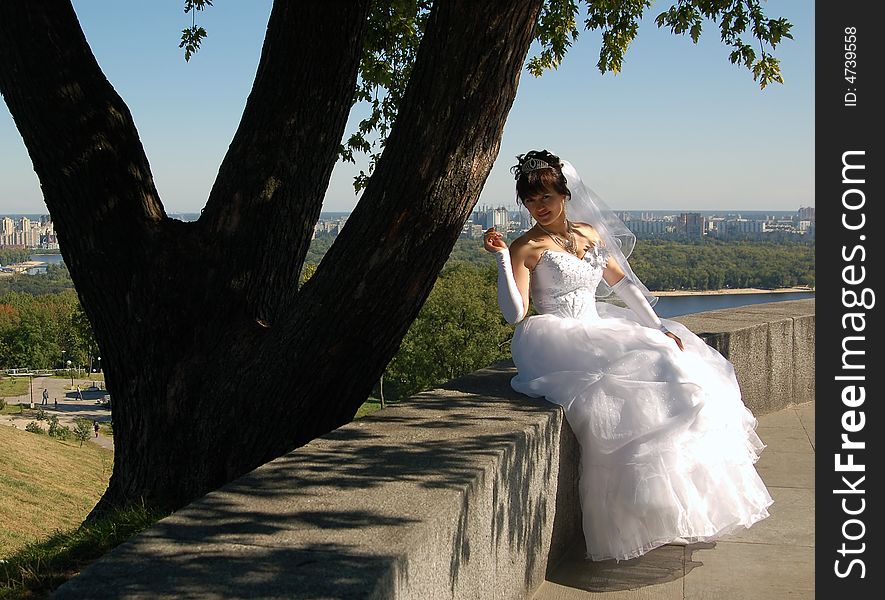 Portrait of a bride sitting near the tree. Portrait of a bride sitting near the tree
