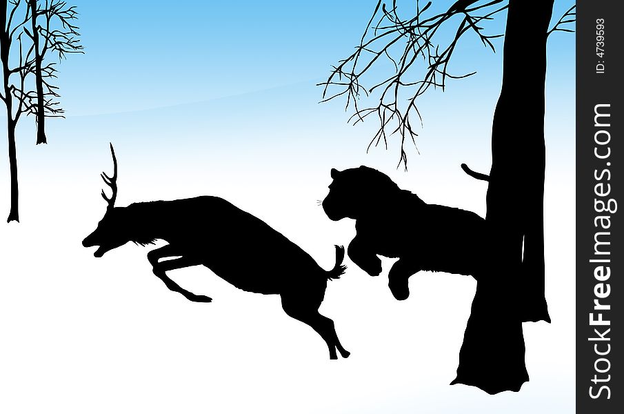 Illustration of tiger chasing a deer in snow. Illustration of tiger chasing a deer in snow