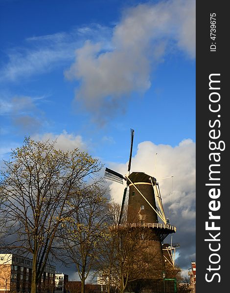Windmill In Spring